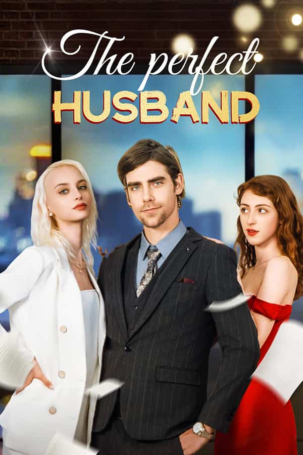 The Perfect Husband