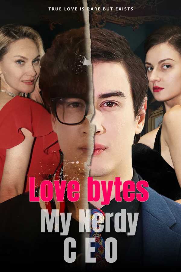 Love Bytes: My Nerdy CEO