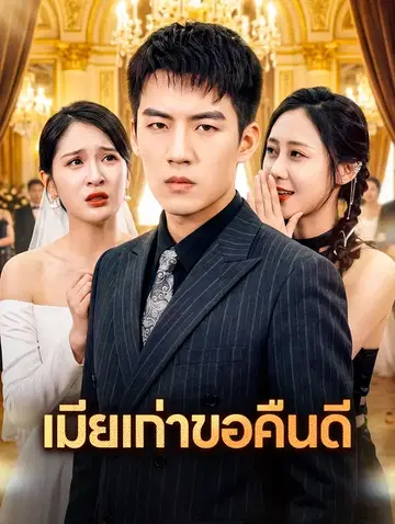เมียเก่าขอคืนดี