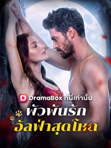 พัวพันรักอัลฟ่าสุดโหด