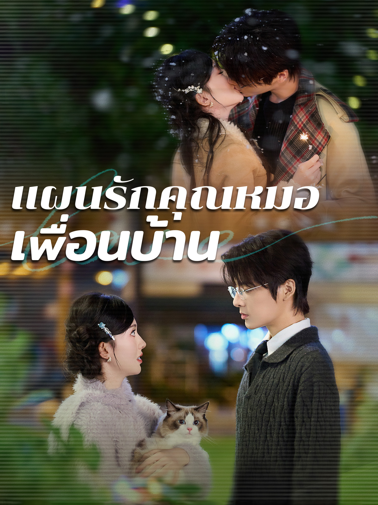 แผนรักคุณหมอเพื่อนบ้าน