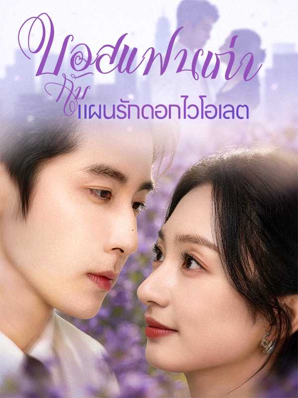 บอสแฟนเก่ากับแผนรักดอกไวโอเลต