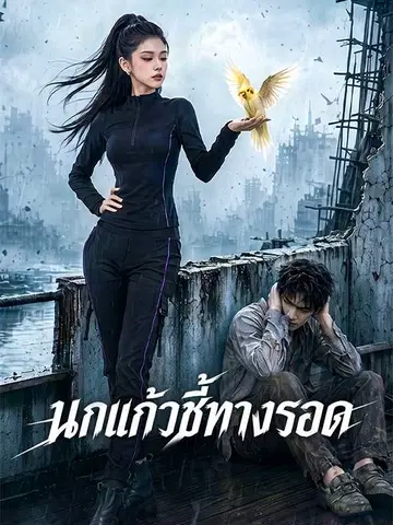 นกแก้วชี้ทางรอด