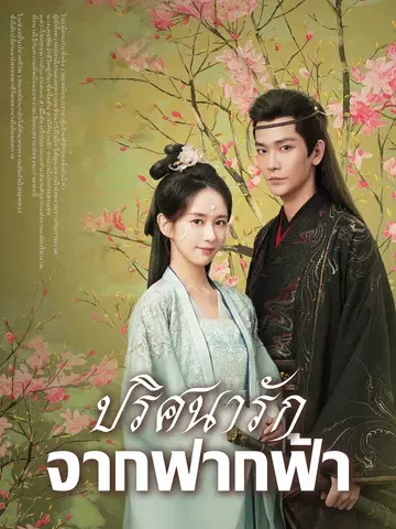 ปริศนารักจากฟากฟ้า