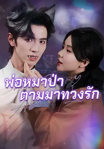 พ่อหมาป่าตามมาทวงรัก