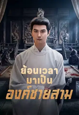 ย้อนเวลามาเป็นองค์ชายสาม