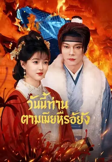 วันนี้ท่านตามเมียหรือยัง